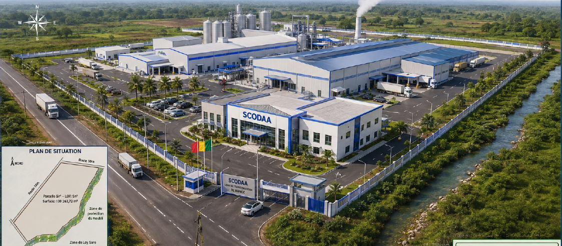 Plan du projet de l'usine de transformation de Manioc de Pita