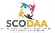 Logo SCODAA